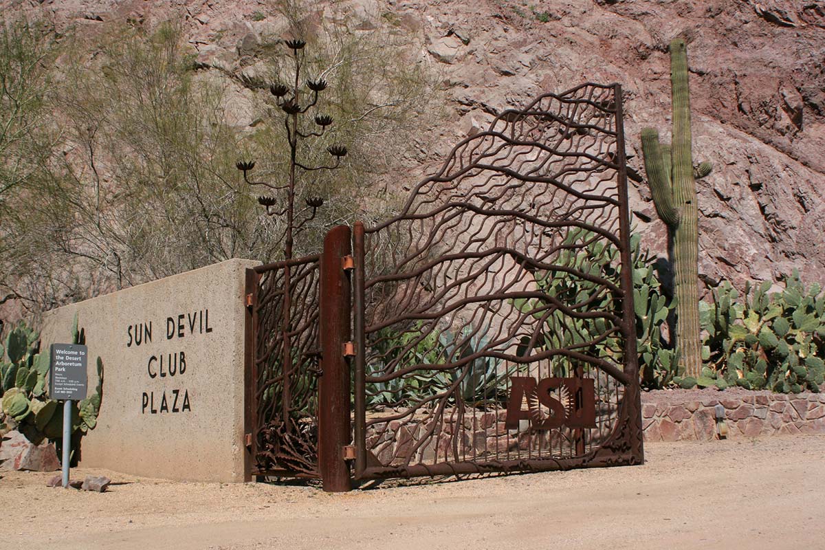 Desert Arboretum Park