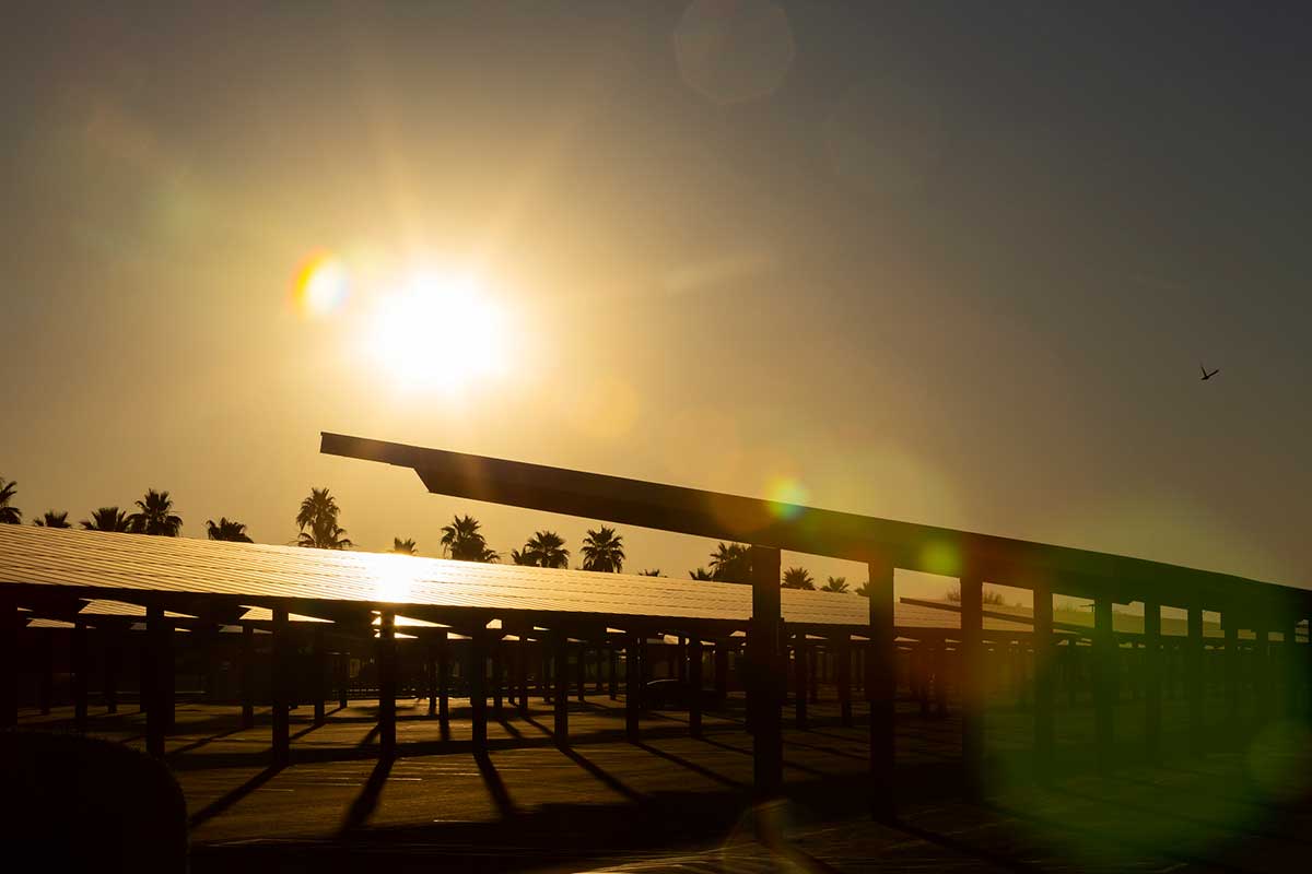 Campus solar panels